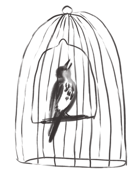 Caged-Bird-724x1024